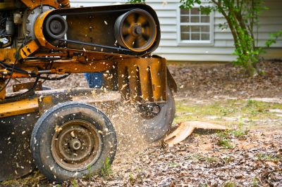 Stump Grinding Specialists